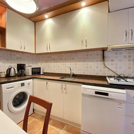 Capacious Flat Near Taksim Square In Beyoglu