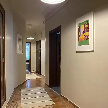 Capacious Flat Near Taksim Square In Beyoglu *